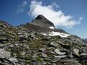 20090830_gueferhorn_michi 043